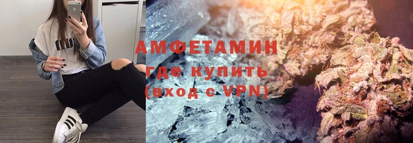 метадон Алексин