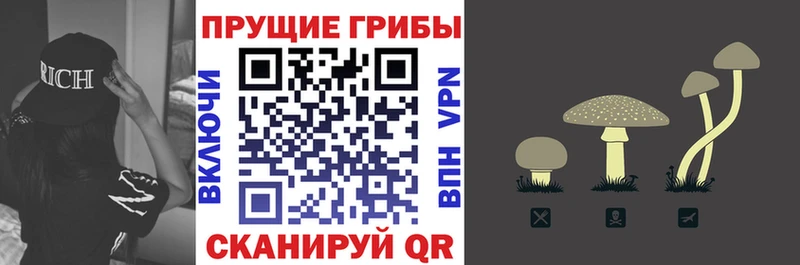 Галлюциногенные грибы Cubensis  ссылка на мегу   Дрезна 